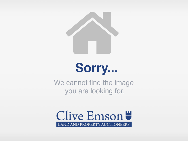 Lot: 61 - FOUR-BEDROOM TERRACE HOUSE - Rear garden